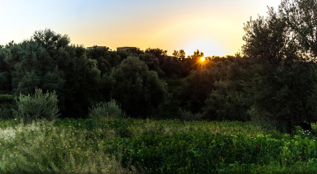 Riad Sougtani Tazrou Экстерьер фото