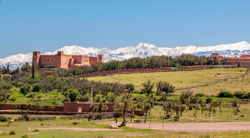Riad Sougtani Tazrou Экстерьер фото